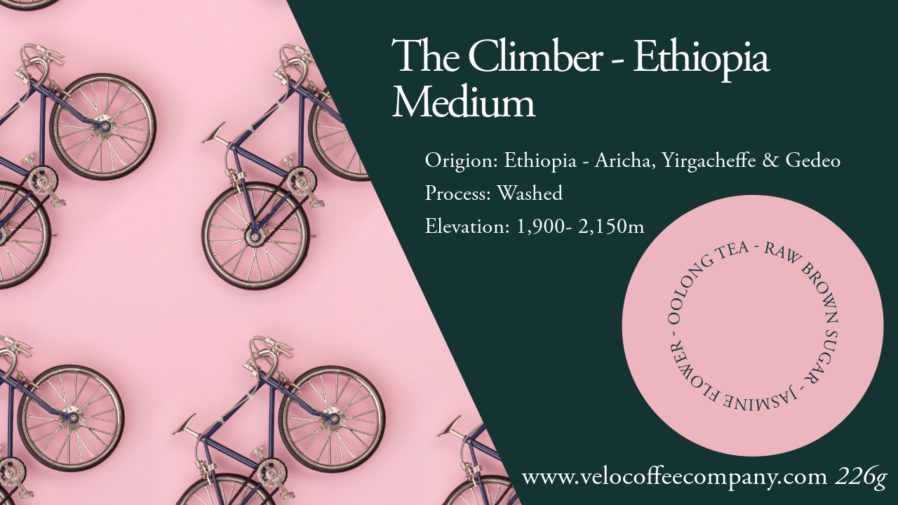 The Climber - Ethiopia | Medium | Single Region | 226g