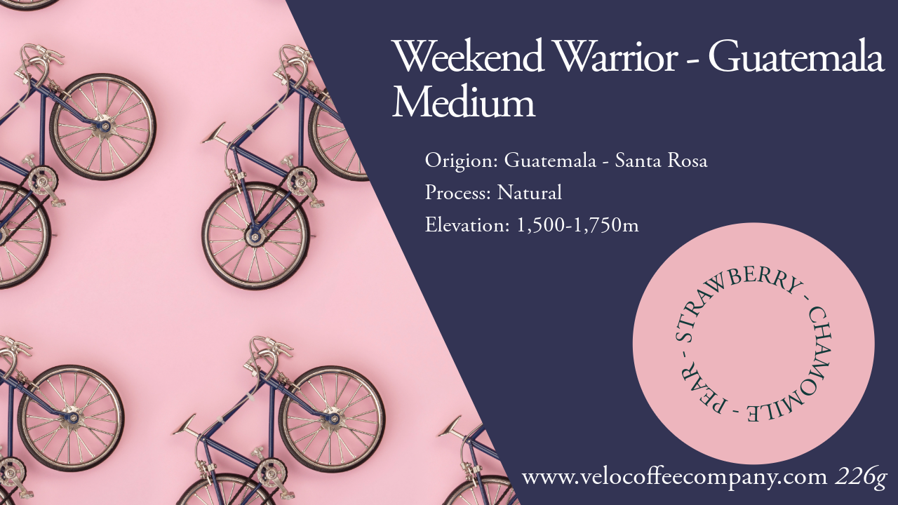 The Weekend Warrior - Guatemala | Medium | Single Region | 226g