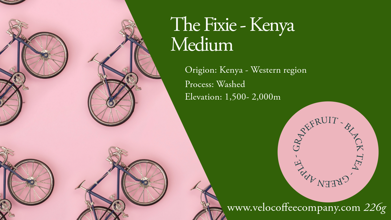 The Fixie - Kenya | Medium | Single Region | 226g